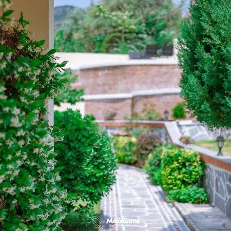 Helianthos Villa - Apartment No4 PalaiónTsiflíkion المظهر الخارجي الصورة